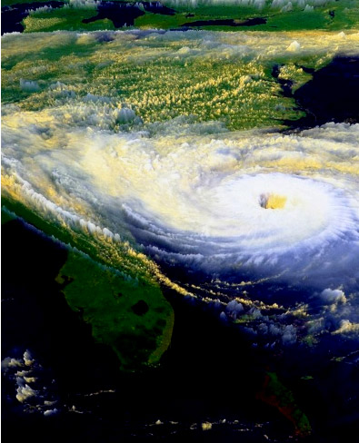 日出水了特别黄的视频