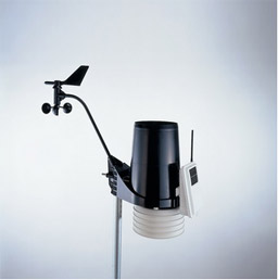 日出水了特别黄的视频