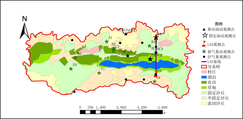 日出水了特别黄的视频