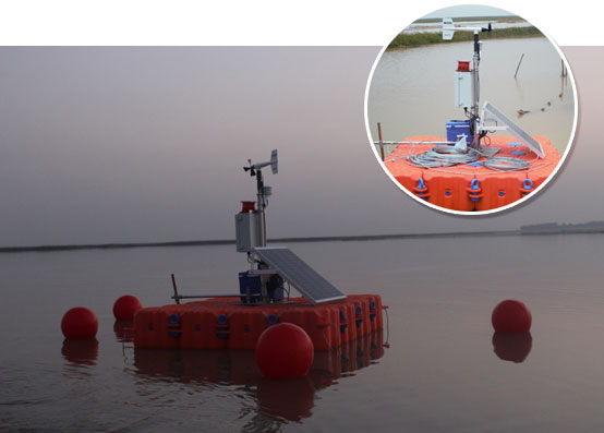 日出水了特别黄的视频