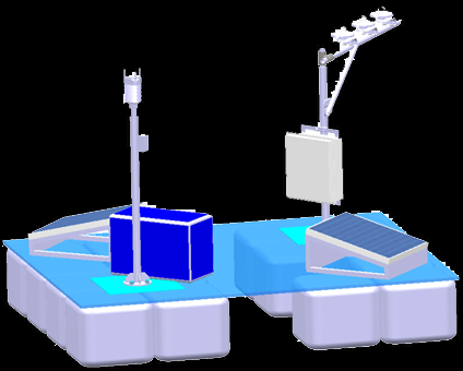 日出水了特别黄的视频