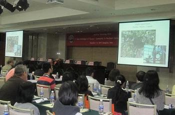 日出水了特别黄的视频