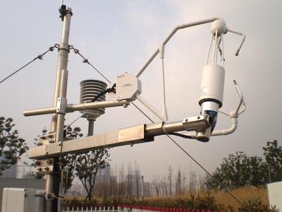 日出水了特别黄的视频