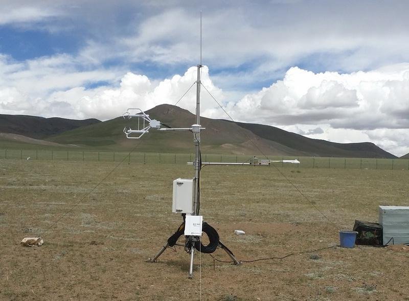 日出水了特别黄的视频