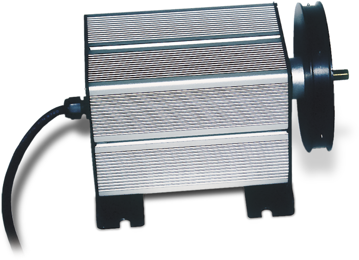 日出水了特别黄的视频