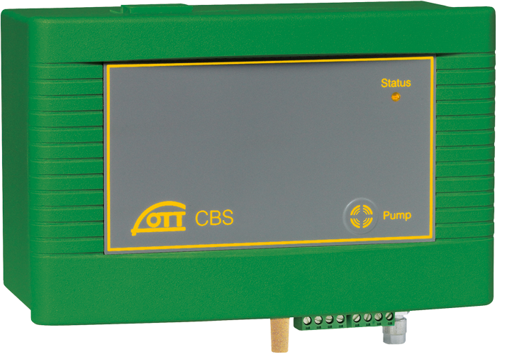 日出水了特别黄的视频