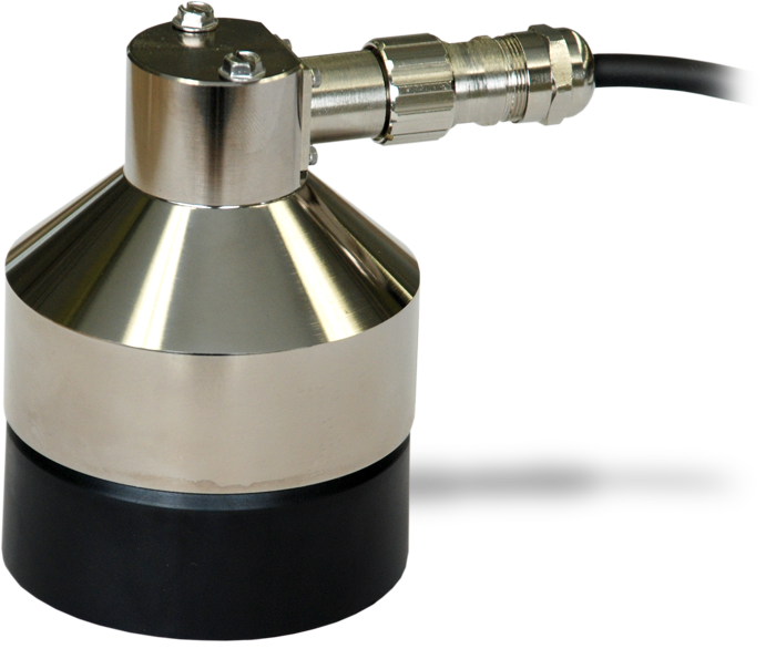 日出水了特别黄的视频