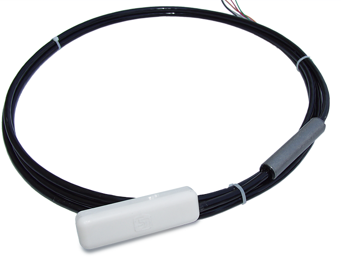 日出水了特别黄的视频