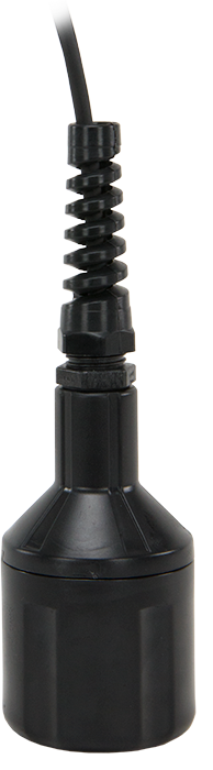 日出水了特别黄的视频