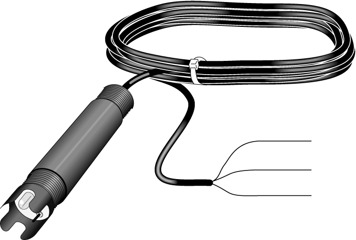 日出水了特别黄的视频