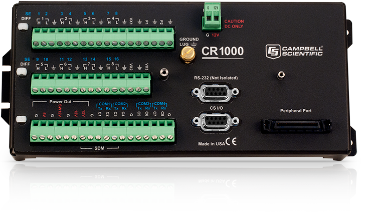 日出水了特别黄的视频