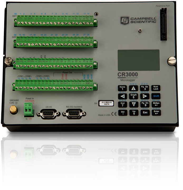 日出水了特别黄的视频