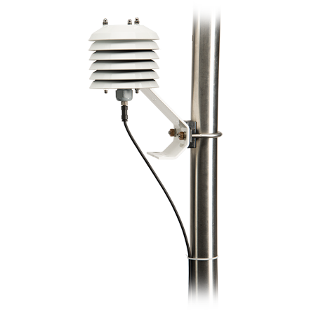 日出水了特别黄的视频