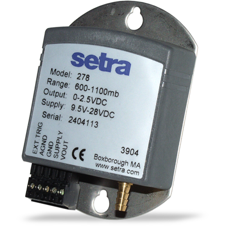 日出水了特别黄的视频