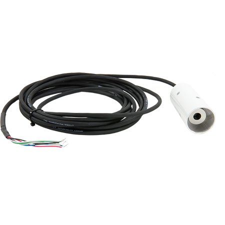 日出水了特别黄的视频