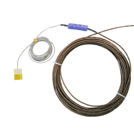 日出水了特别黄的视频