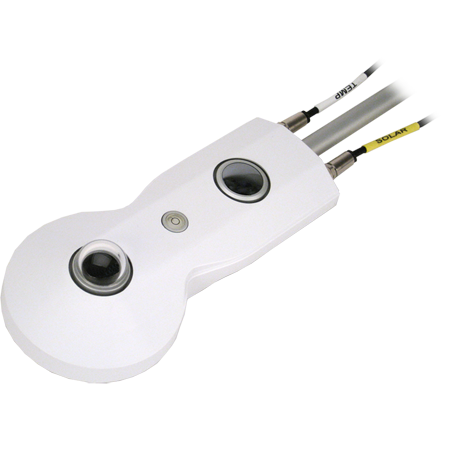 日出水了特别黄的视频