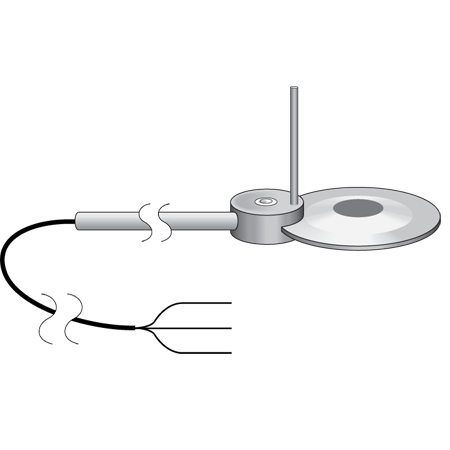 日出水了特别黄的视频