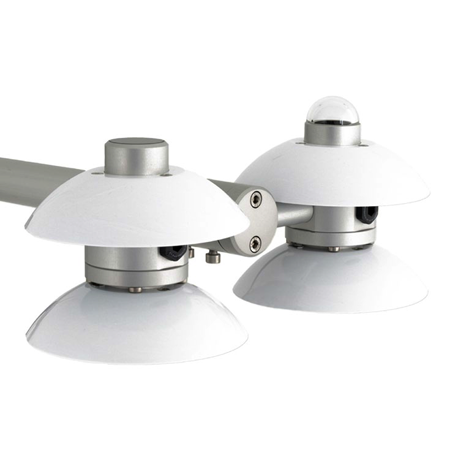 日出水了特别黄的视频