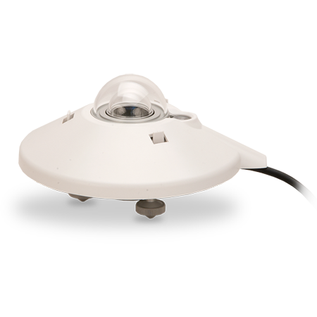 日出水了特别黄的视频