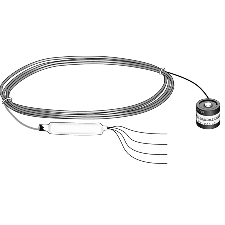 日出水了特别黄的视频