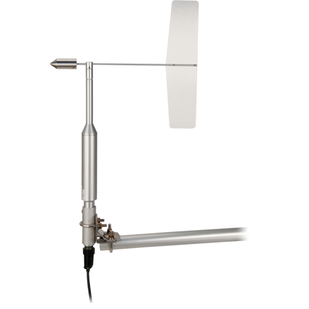 日出水了特别黄的视频