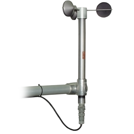 日出水了特别黄的视频