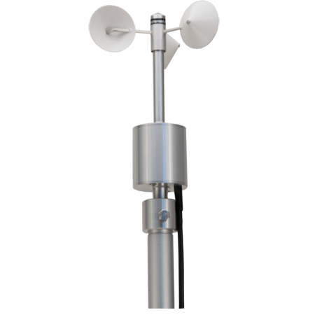 日出水了特别黄的视频