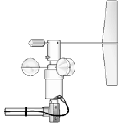 日出水了特别黄的视频