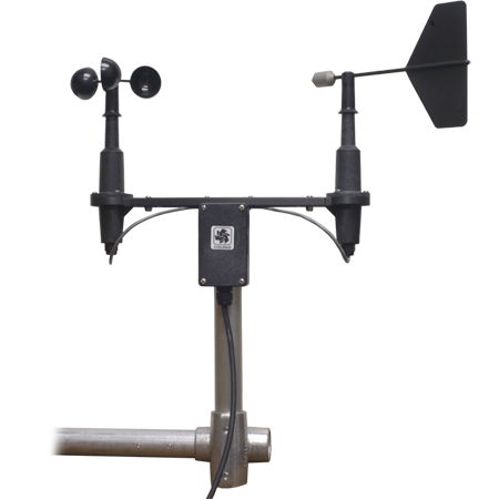 日出水了特别黄的视频