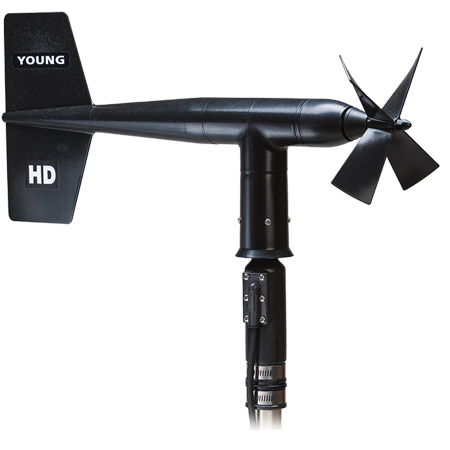 日出水了特别黄的视频