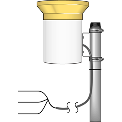 日出水了特别黄的视频