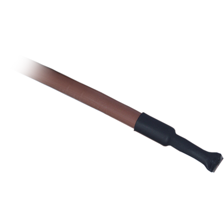 日出水了特别黄的视频