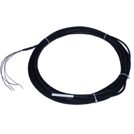 日出水了特别黄的视频