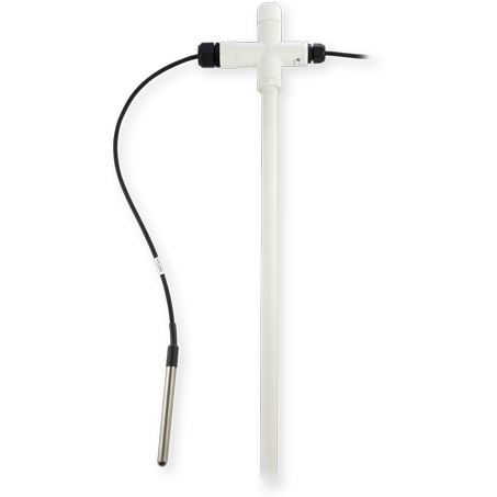 日出水了特别黄的视频