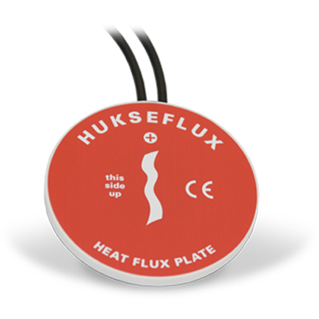 日出水了特别黄的视频