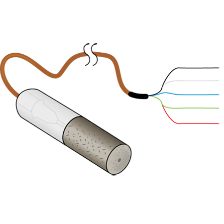 日出水了特别黄的视频