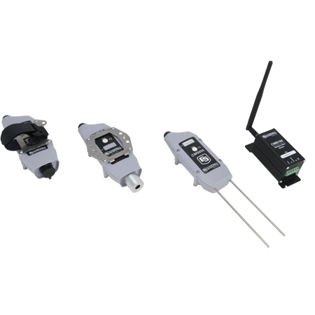 日出水了特别黄的视频
