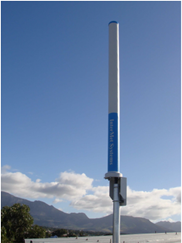 日出水了特别黄的视频