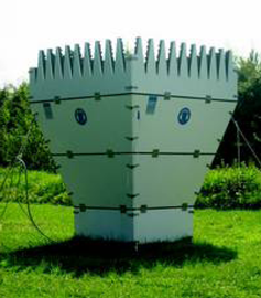 日出水了特别黄的视频