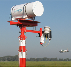 日出水了特别黄的视频