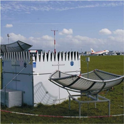 日出水了特别黄的视频