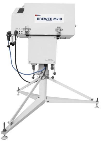 日出水了特别黄的视频