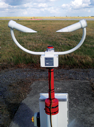 日出水了特别黄的视频