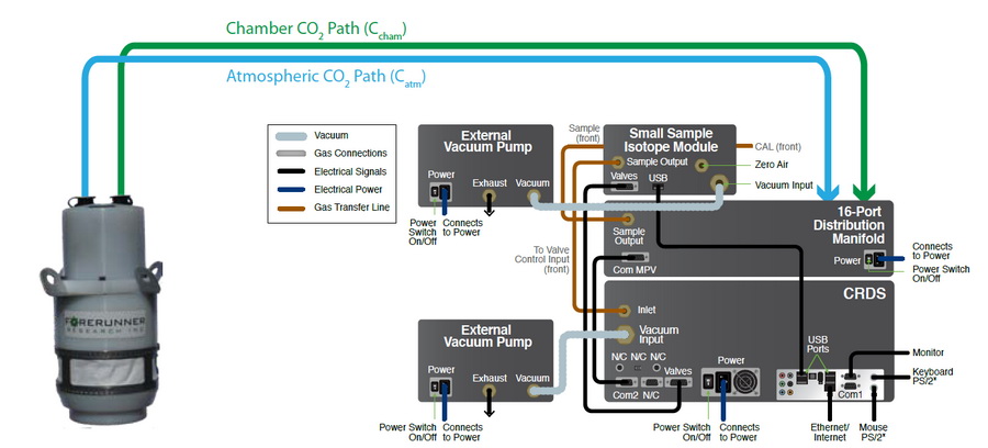 日出水了特别黄的视频