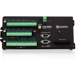 日出水了特别黄的视频