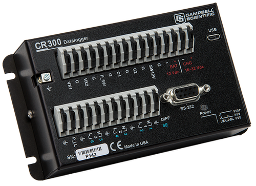 日出水了特别黄的视频