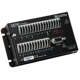 日出水了特别黄的视频