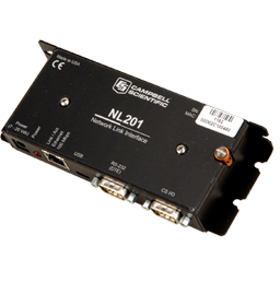 日出水了特别黄的视频