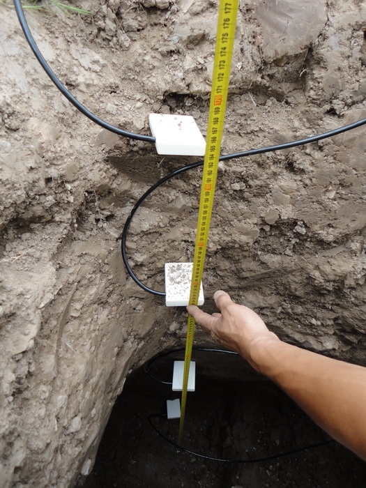 日出水了特别黄的视频